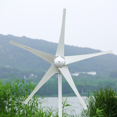3 giai đoạn 10kw hệ thống điện gió mặt trời lai trên lưới hệ thống máy phát điện gió với dài